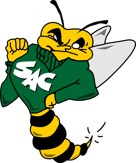 Sacramento State Hornets 1991-2003 Primary Logo iron on transfers for fabric
